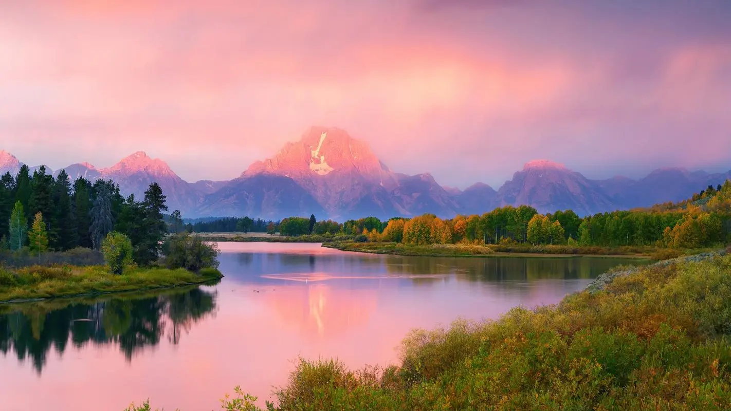 科技高端